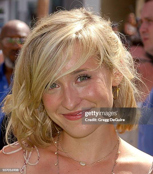 Allison Mack during "The Ant Bully" Los Angeles Premiere - Arrivals at Grauman's Chinese Theatre in Hollywood, California, United States.