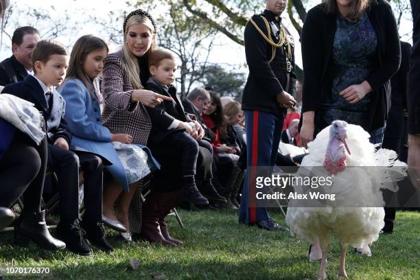 White House adviser and first daughter Ivanka Trump , her children Arabella Kushner , Joseph Kushner , and Theodore Kushner attend a turkey pardoning...