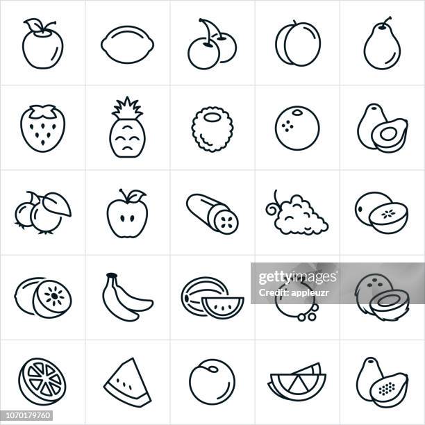 fruit icons - coconut icon stock illustrations