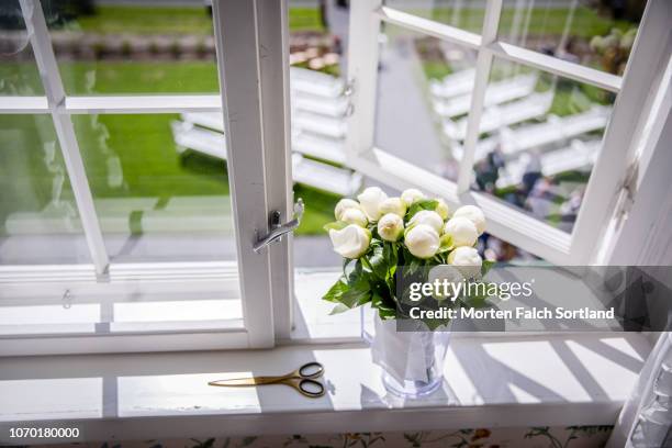 flowers by the window in hoel gard, norway - spring norway stock pictures, royalty-free photos & images