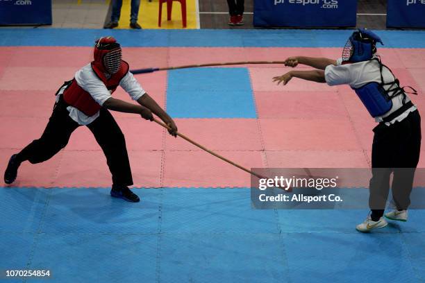 Stick Fighting (Silambam) Action Editorial Stock Photo - Image of fighting,  tournament: 9565373