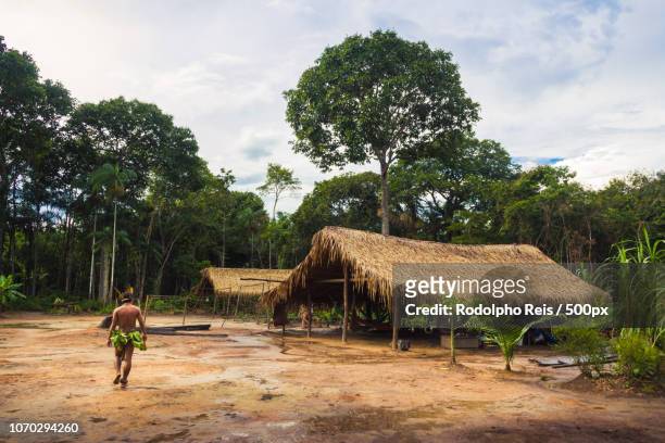 indigenous tribes - brazil village stock pictures, royalty-free photos & images