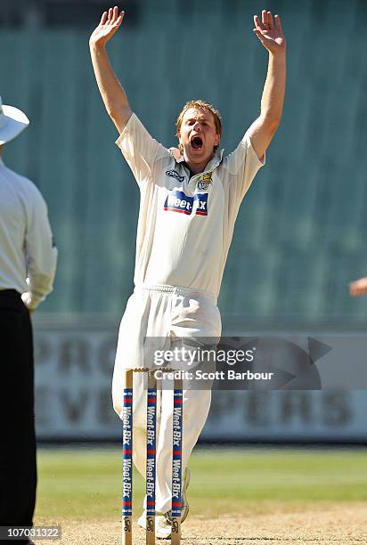 Michael Beer of the Warriors appeals successfully to dismiss Damien Wright of the Bushrangers during day four of the Sheffield Shield match between...