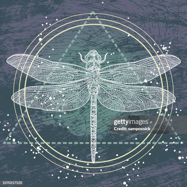 sacred geometry dragonfly - sacred geometry stock illustrations