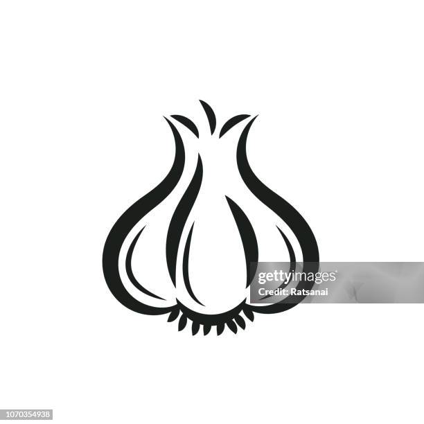 garlic - garlic clove stock illustrations