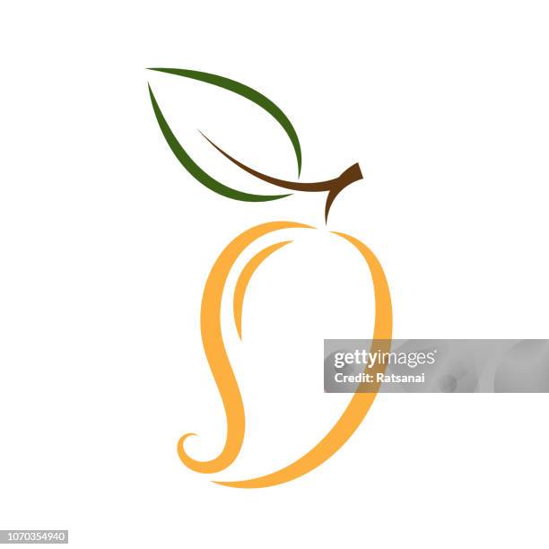 mango - mango leaf stock illustrations