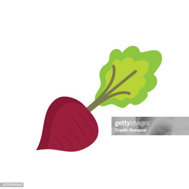 beetroot - beets stock illustrations