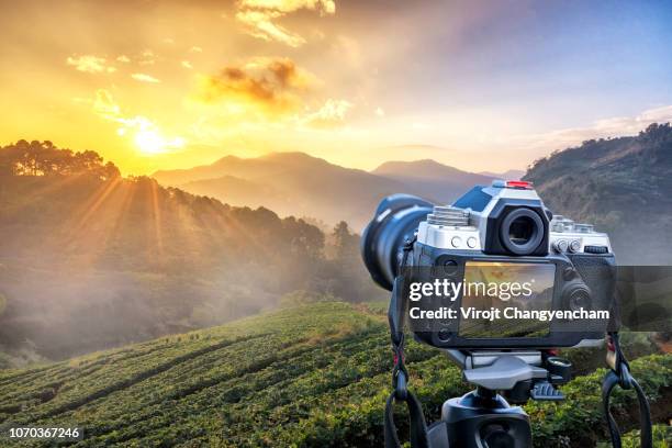 digital camera with landscape scene - touching eyes stock pictures, royalty-free photos & images