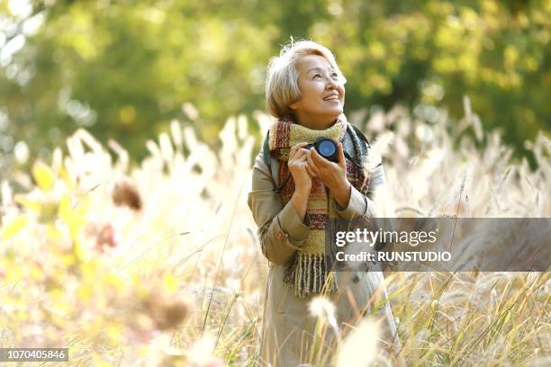 mature woman taking pictures with camera in autumn park - old photographer stock-fotos und bilder