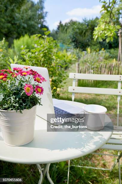 laptop standing on table in garden - parc informatique bureau ordinateur photos et images de collection