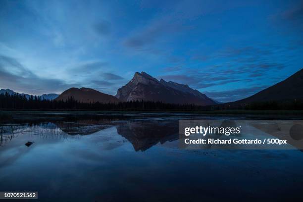 36 Richard Rundle Stock Photos, High-Res Pictures, and Images - Getty ...