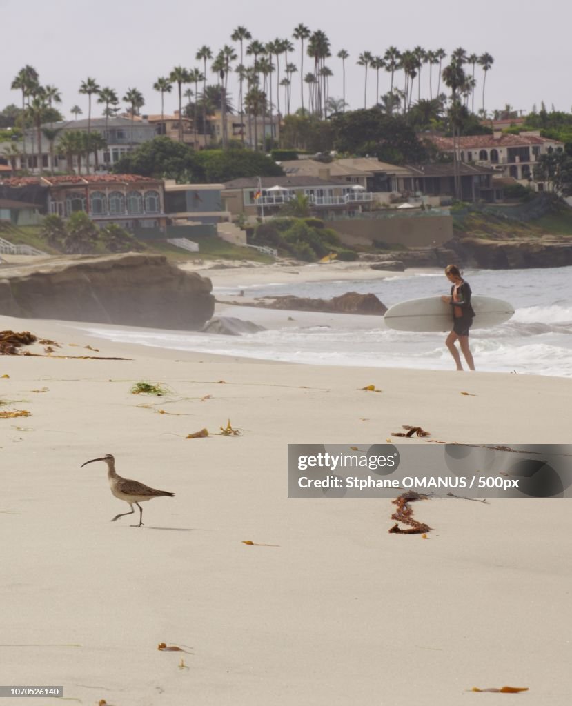 Surfers on the Beach