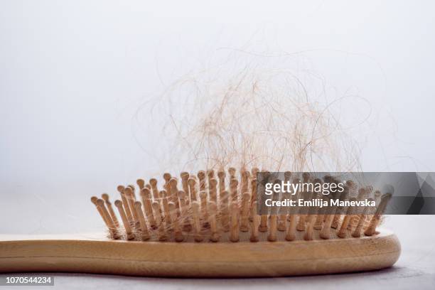 hair loss. hairbrush with hair stuck in it - damaged hair stock pictures, royalty-free photos & images