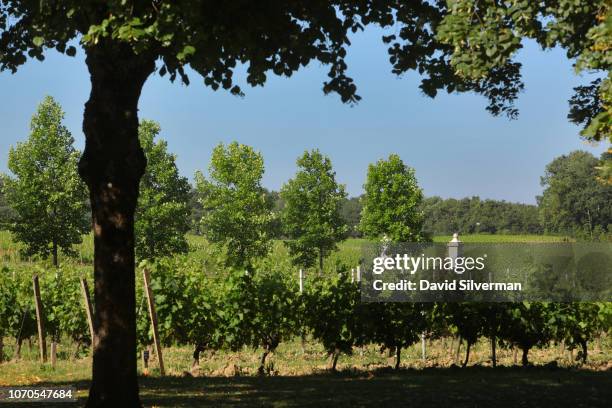 Vineyards cover the landscape at Château Clarke on June 26, 2018 in Listrac-Médoc, France. After purchasing the Bordeaux estate in 1973, Baron Edmond...