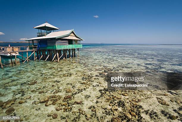 kanawa island, flores, indonesia - luisapuccini foto e immagini stock