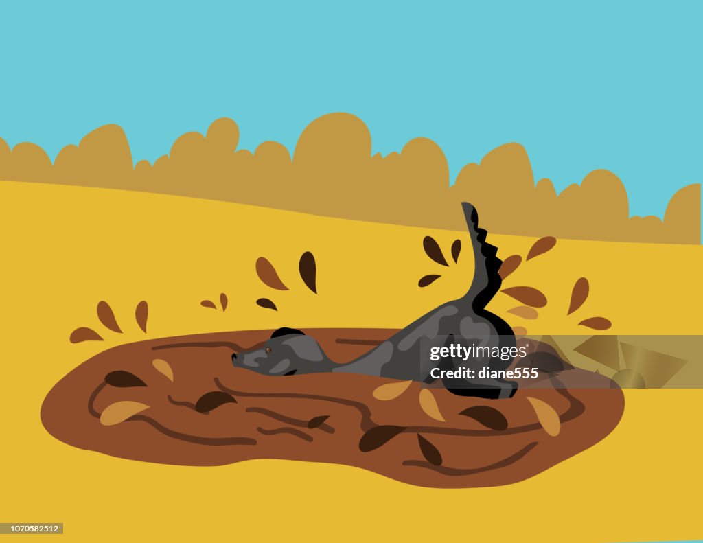 Cane labrador nero che gioca nel fango