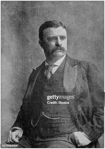 antikes foto: theodore roosevelt - theodore roosevelt stock-grafiken, -clipart, -cartoons und -symbole