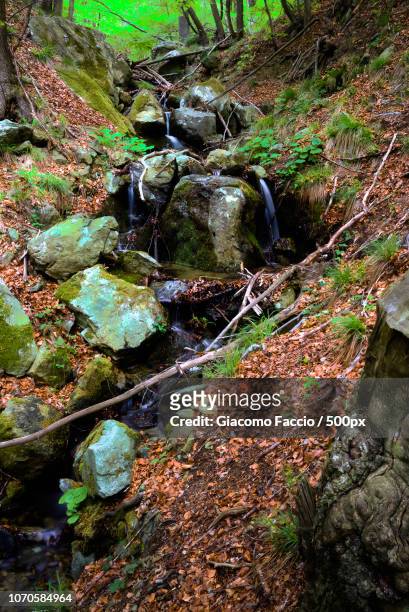 ruscello - creek - ruscello stock pictures, royalty-free photos & images
