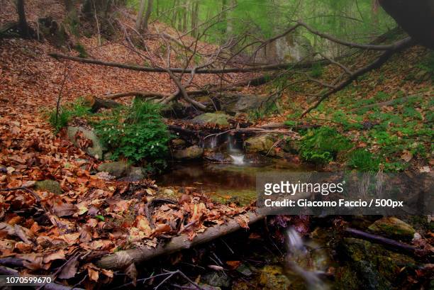 ruscello - stream - ruscello stock pictures, royalty-free photos & images