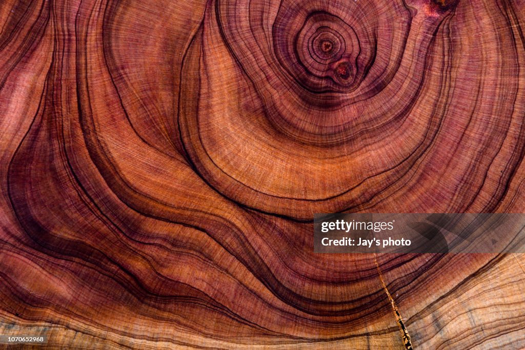 Abstract hardwood