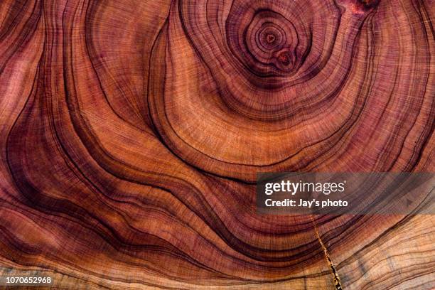 abstract hardwood - patterns in nature 個照片及圖片檔