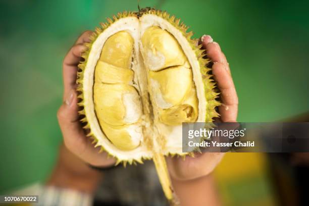 hand holding durian - mature adult foto e immagini stock