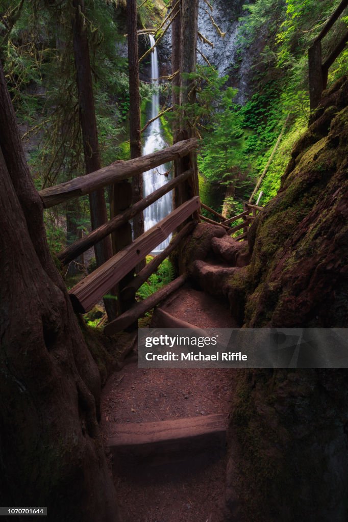 A hiking trail leading to a waterfall
