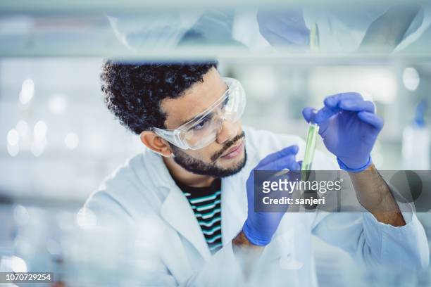 scientist working in the laboratory - tube imagens e fotografias de stock