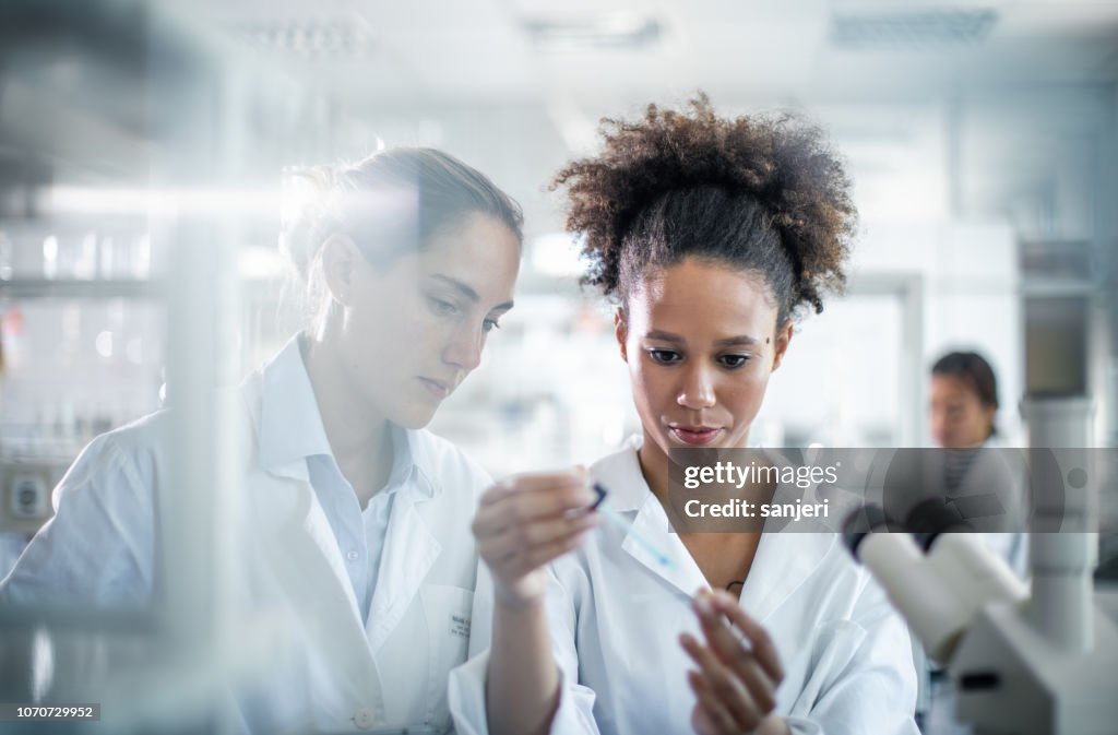 Científico que trabaje en el laboratorio