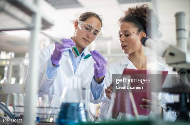 Working In Science Lab Scientist Working In The Laboratory High-Res Stock Photo - Getty Images