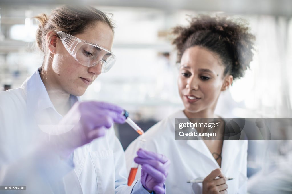 Working In Science Lab Scientist Working In The Laboratory High-Res Stock Photo - Getty Images