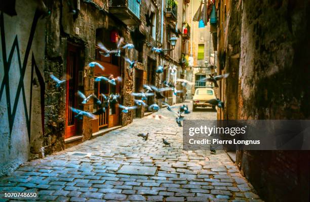narrow medieval cobblestone side street, old car parked, pigeons flying away, in la ribera quarter of barcelona - pigeon on car stock pictures, royalty-free photos & images