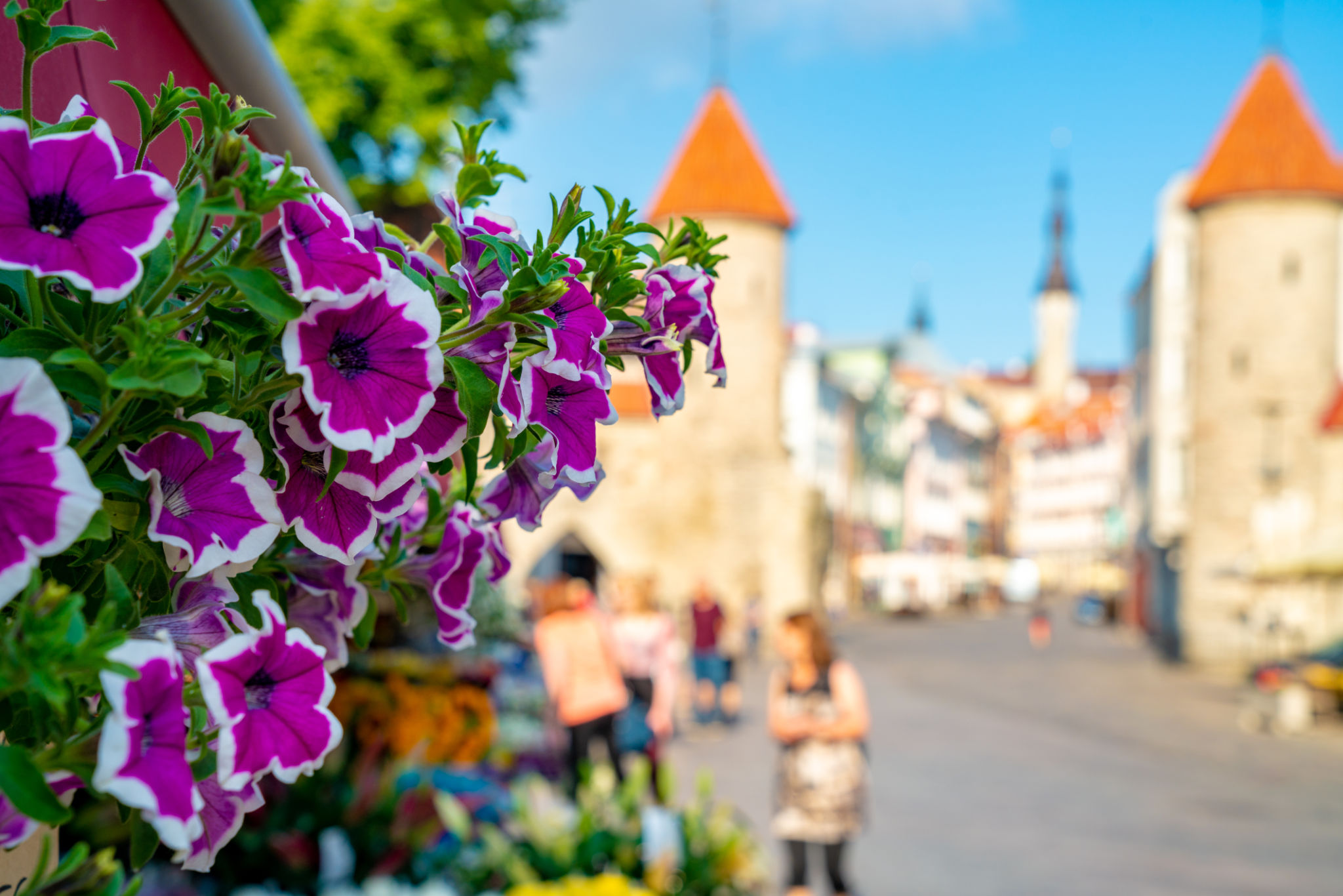 community event Tallinn