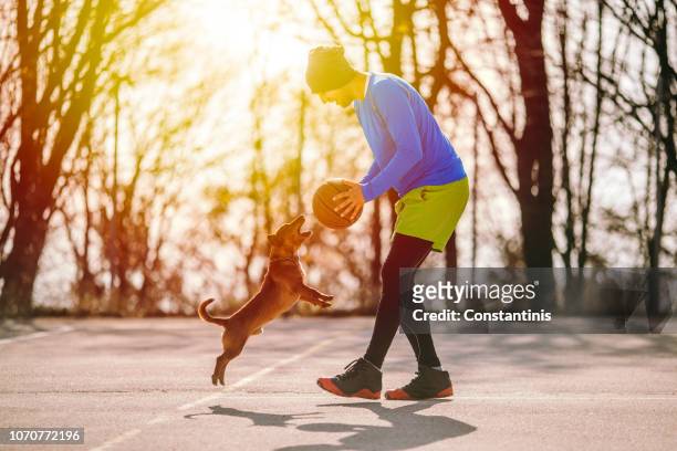 sportler, die basketball spielen mit hund - dog and ball stock-fotos und bilder