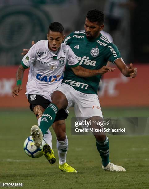 Thiago Santos of Palmeiras vies the ball with Matheusinho of America MG during a match between Palmeiras and America MG at Allianz Parque on November...