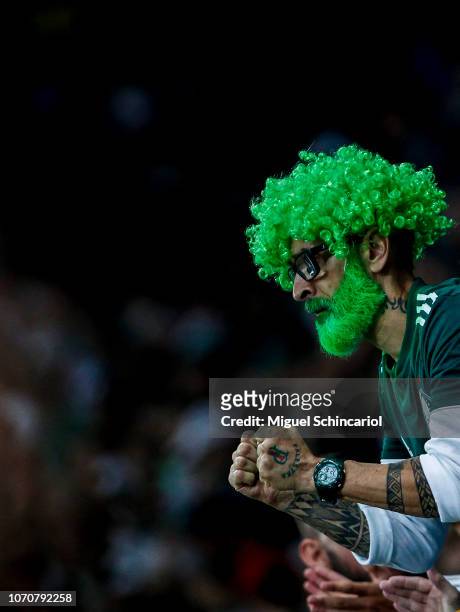 Palmeiras fan cheers during a match between Palmeiras and America MG at Allianz Parque on November 21, 2018 in Sao Paulo, Brazil.