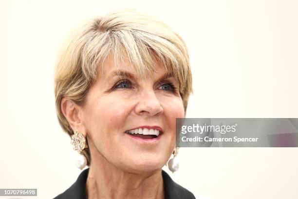 The Honourable Julie Bishop MP and 'Ocean Respect Racing' ambassador speaks to media and guests on November 22, 2018 in Sydney, Australia. The...