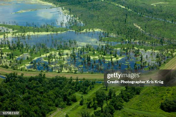 aerial view of green southern louisiana marshlands - louisiana stock pictures, royalty-free photos & images