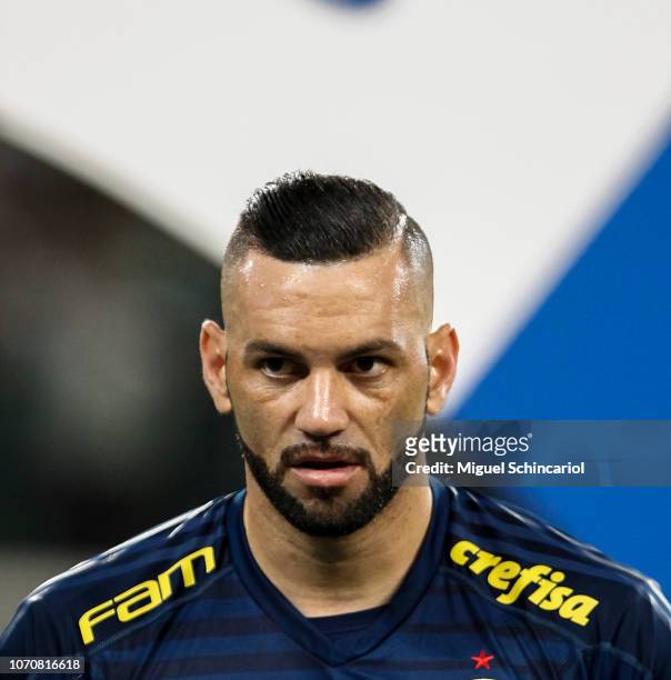 Goalkeeper Weverton of Palmeiras looks on before a match between Palmeiras and America MG at Allianz Parque on November 21, 2018 in Sao Paulo, Brazil.