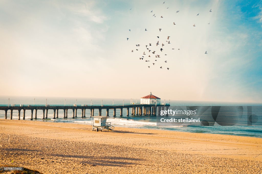 Manhattan Beach Pier mit Vögel