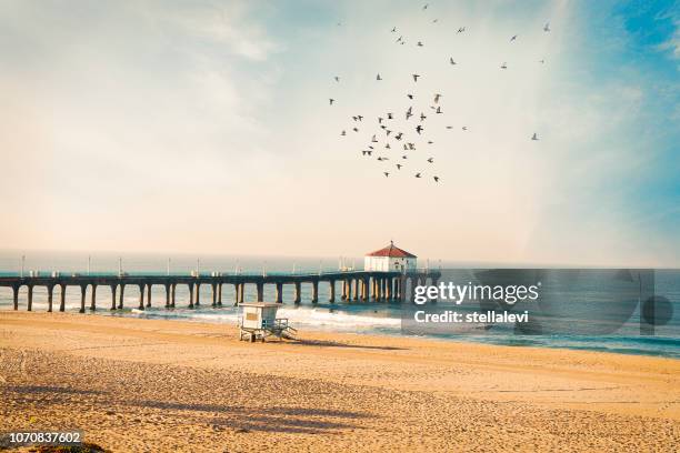 manhattan beach pier with birds - la beach stock pictures, royalty-free photos & images