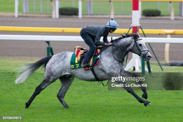 Jockey Ryan Moore riding Capri prepare for Japan Cup at Tokyo Racecourse on November 22, 2018 in Fuchu, Tokyo, Japan.