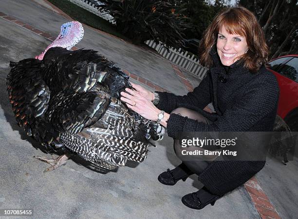 Actress Alexandra Paul and Monty the Turkey attend Earth Island Institute's Marine Mammal Project Fundraiser for "The Cove" at a private residence on...