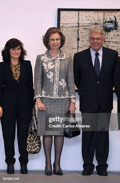 Queen Sofia of Spain attends "Museo Reina Sofia" 20th anniversary on November 23, 2010 in Madrid, Spain.