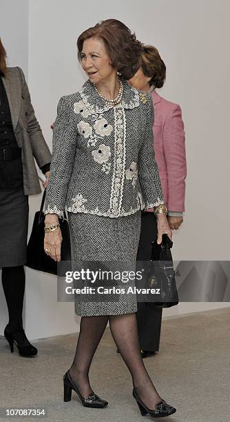 Queen Sofia of Spain attends "Museo Reina Sofia" 20th anniversary on November 23, 2010 in Madrid, Spain.