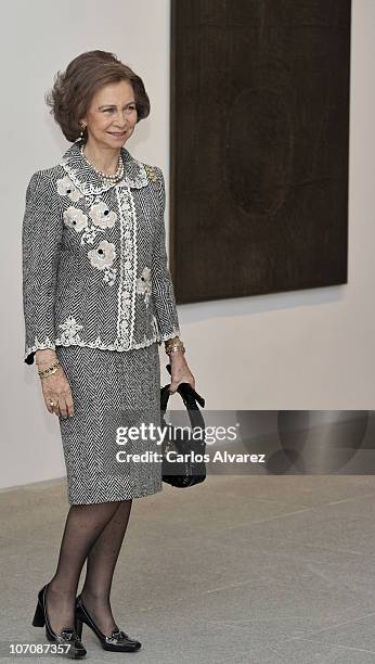 Queen Sofia of Spain attends "Museo Reina Sofia" 20th anniversary on November 23, 2010 in Madrid, Spain.