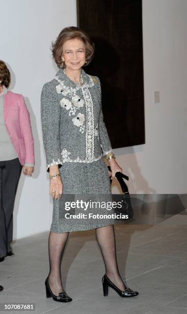 Queen Sofia of Spain attends 'Museo Reina Sofia' 20th anniversary event on November 23, 2010 in Madrid, Spain.