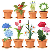 Flowers pot. Decorative colored plants grow at home in funny pots vector cartoon illustrations set isolated