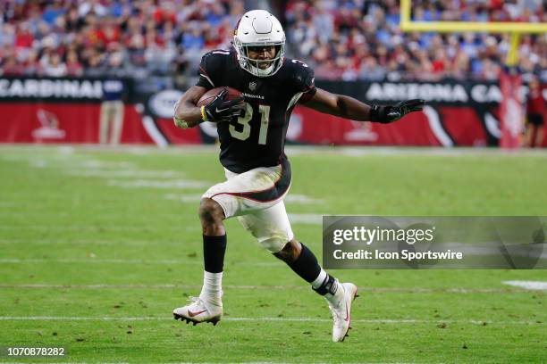 Arizona Cardinals running back David Johnson runs the ball during the NFL football game between the Detroit Lions and the Arizona Cardinals on...