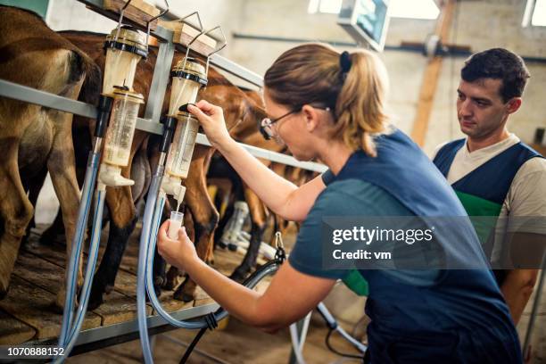 Milk Sample Collection 607 Milk Sample Stock Photos, High-Res Pictures, and Images - Getty Images
